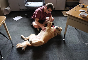 Student petting a dog