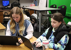 students working on laptops