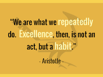 We are what we repeatedly do. Excellence, then, is not an act, but a habit. -Aristotle