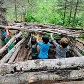 Boys building a fort with trees