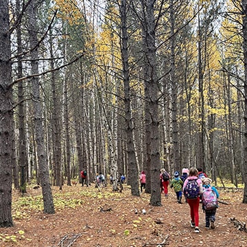 Students going on a hike in the woods