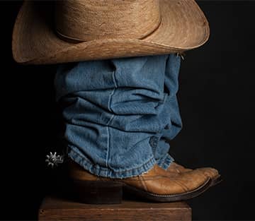 cows eating and one close up looking at the camera