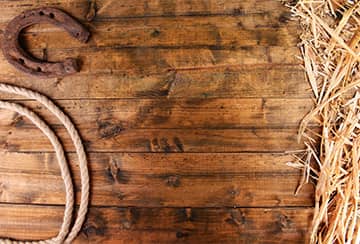 A lasso and a horseshoe