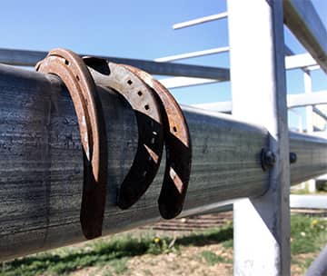 A basket of apples on fall leaves