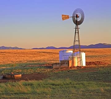 an orchard with a barn in the background