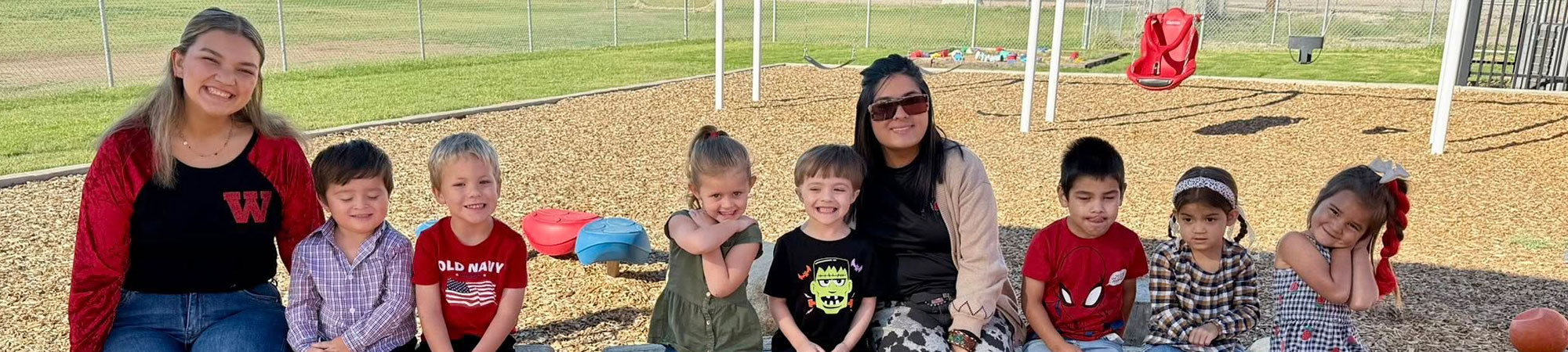 Cows grazing in a field