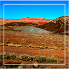 desert landscape with red mountain background