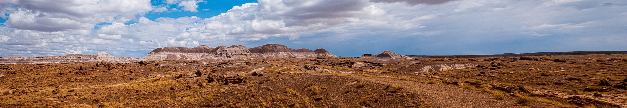 Blue sky view of red mountains in Apache County
