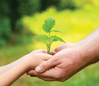 adult helping child hold a young plant