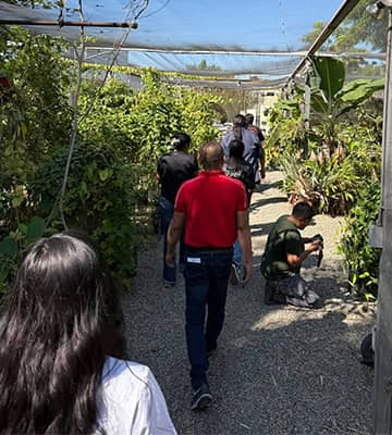Students and adults walking among shrubs and plants