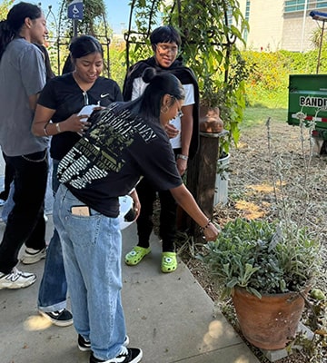 Students looking at plants