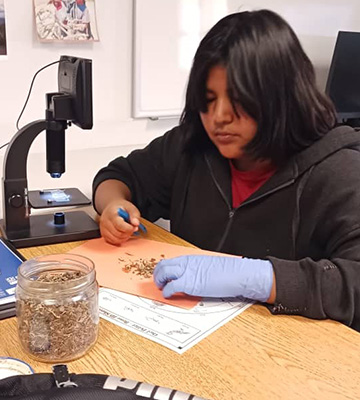 A student working with a microscope