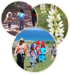 kids on a field trip