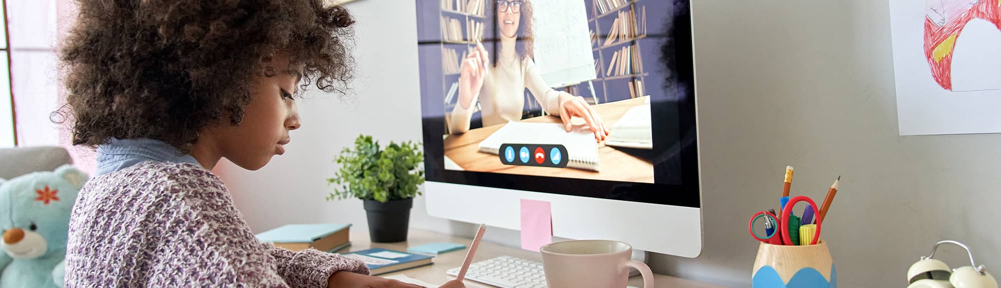 web lesson on computer at home