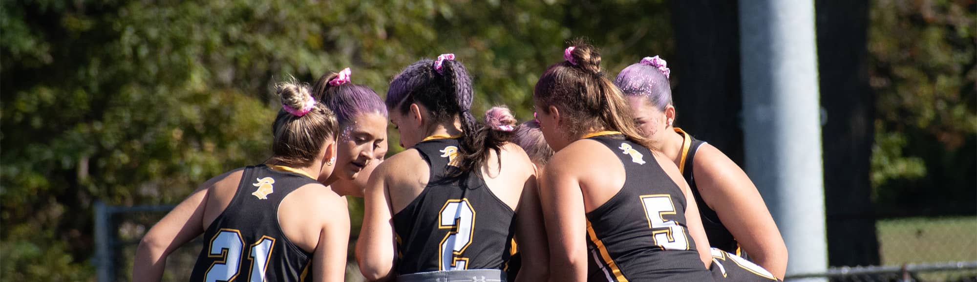 Girls field hockey team huddled