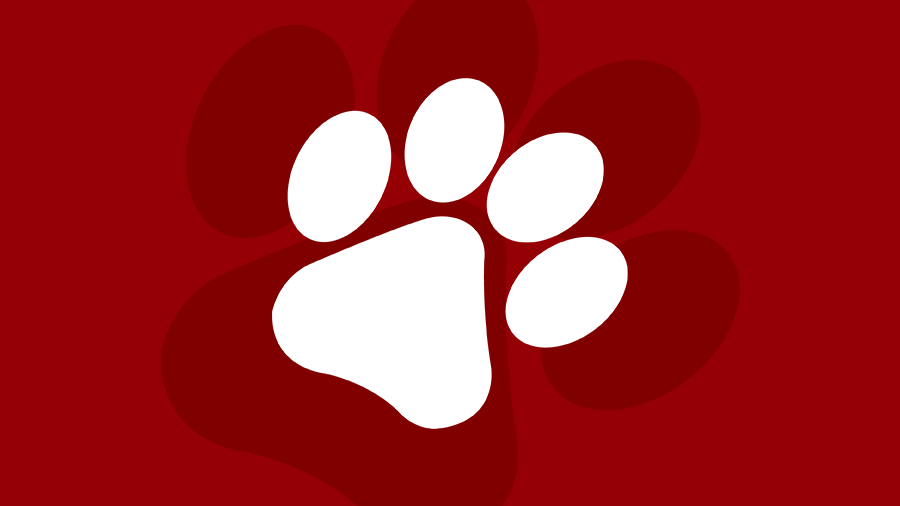 SDES paw logo