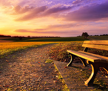 A bench at sunrise