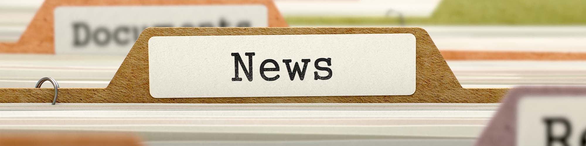 Students looking at painted rocks