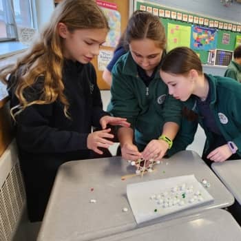 Two students reading together