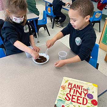 Students planting seeds