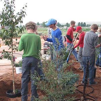 Students planting trees