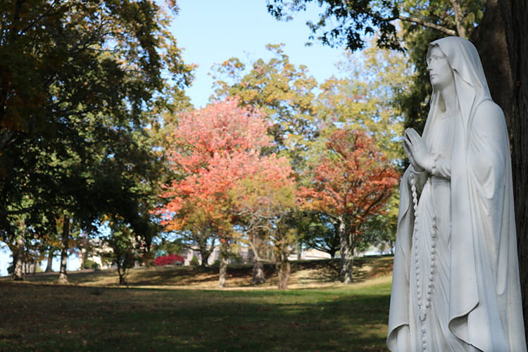 Provincial House grounds today