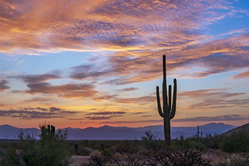 Beautiful sunset in the desert