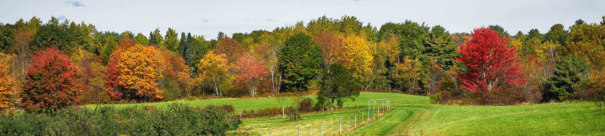 View of farms and fields and rolling hills