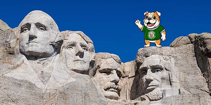 Flat Boomer's Great American Adventure