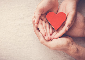 Two adult hands holding a red heart