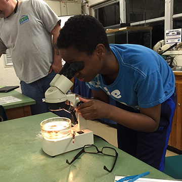 A student looking through a microscope