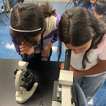 students looking through microscopes