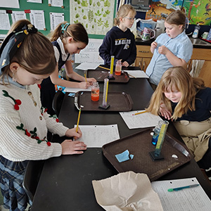 Students working together on projects