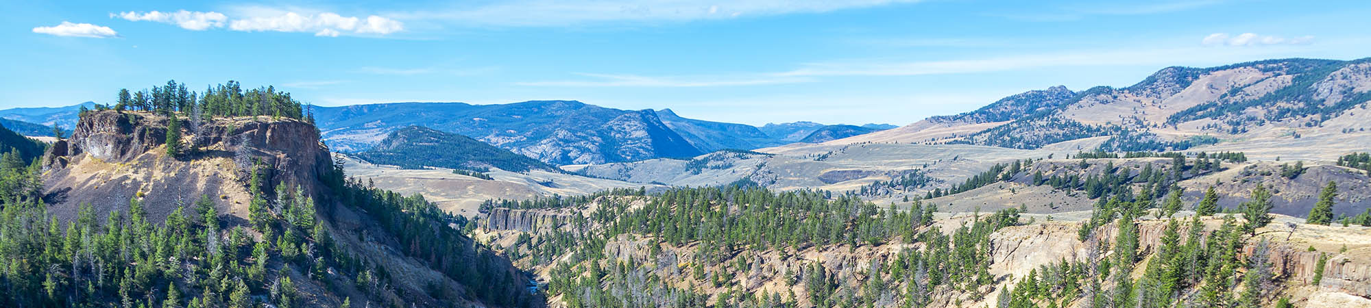 View of Yellowstone River next to Cheif Washakie