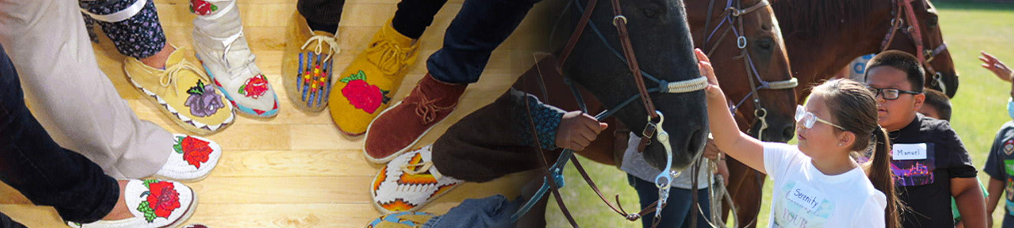 Red and green apples in a row