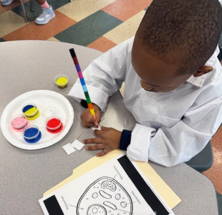 Student painting at his desk