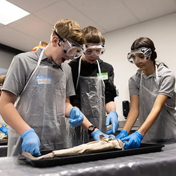 students looking a fish in science lab