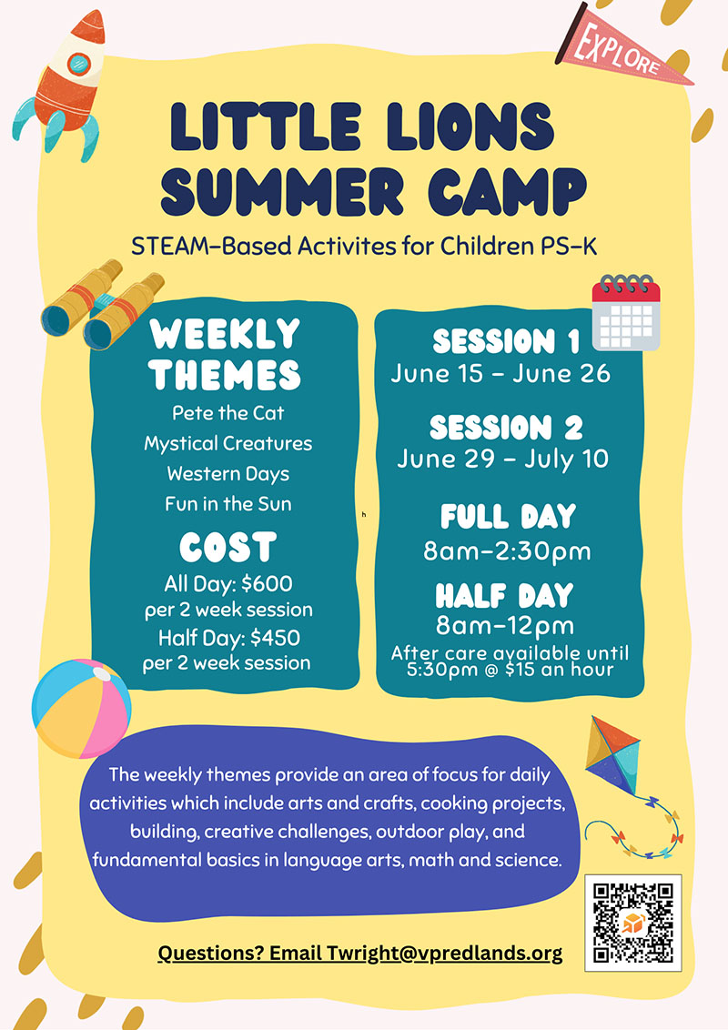 Little Lions Summer Camp flyer