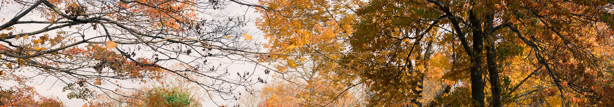 Beautiful fall sky in Allegheny PA
