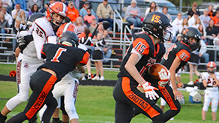Gators football game