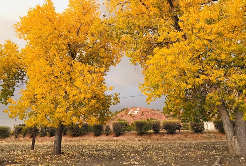 Happy students in cafeteria Happy students sitting at a blue table in the cafeteria