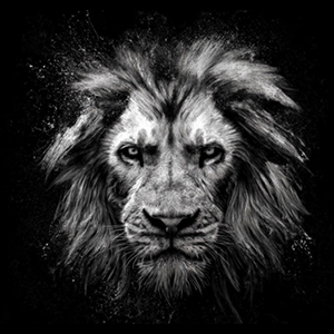 Community Partner - Goliath Academy