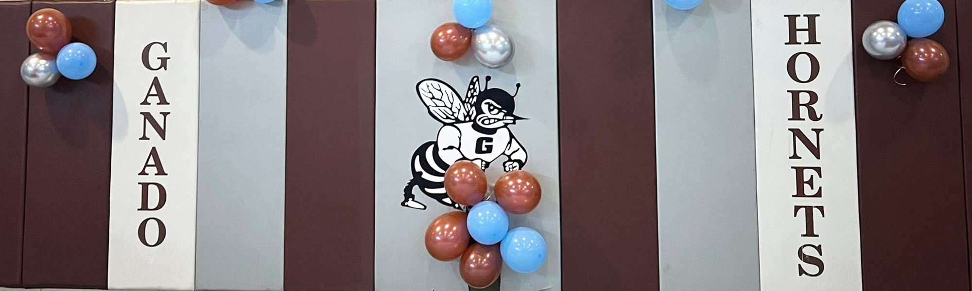 Ganado Hornets mural in the school gym