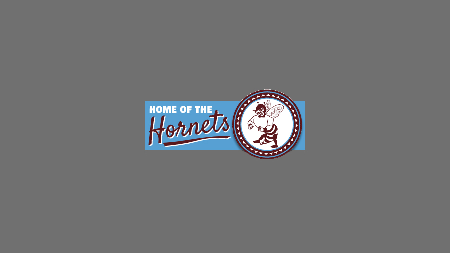 Home news feature place holder - Home of the Hornets