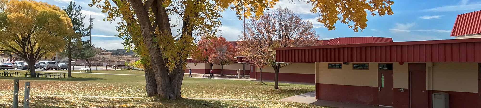 Outside the school building in the fall by the big tree