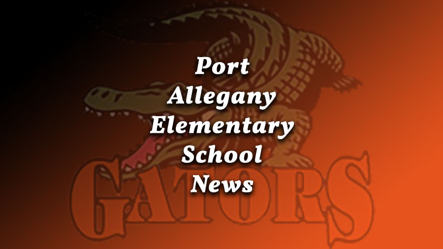 Port Allegany Elementary News Photo