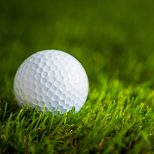 golf ball on the course