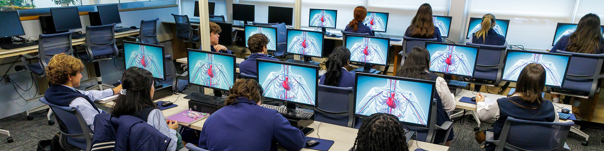 Students working at computers