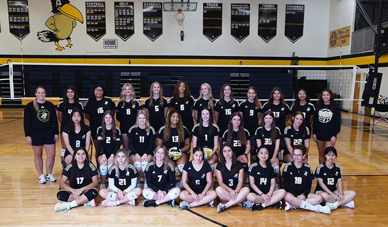 Volleyball team photo