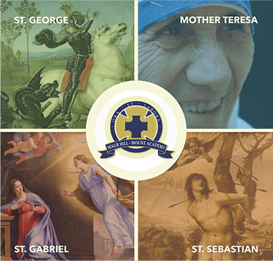 sidebar_graphic_housesystem Maur house system logo